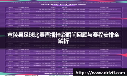 ng28体育app