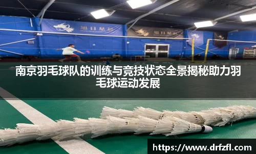ng28体育官网